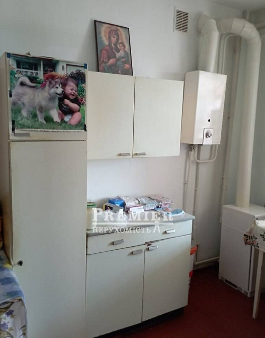 Продам будинок в центрі села Єгорівка! Одеса - зображення 10