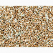 Куплю зерновідходи Зернові, олійні, бобові Сумы