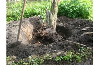 земляные работы ( копка ) демонтаж , бурение Харьков - изображение 5