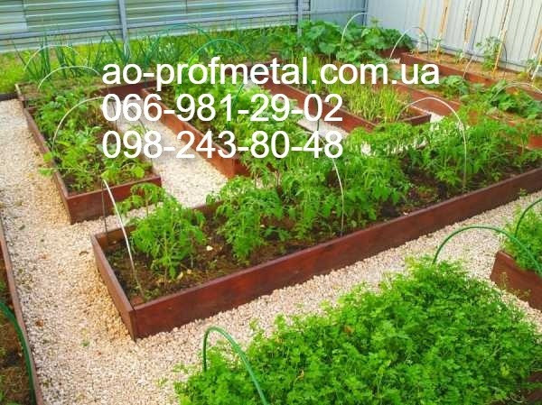 Готовые современные грядки. Київ - зображення 8