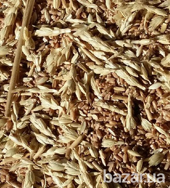 Куплю Зерноотходы. Масличные отходы. Бобовые отходы Суми - зображення 1