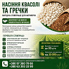 Насіння квасолі та гречки — вигідна співпраця для фермерів Хмельницький