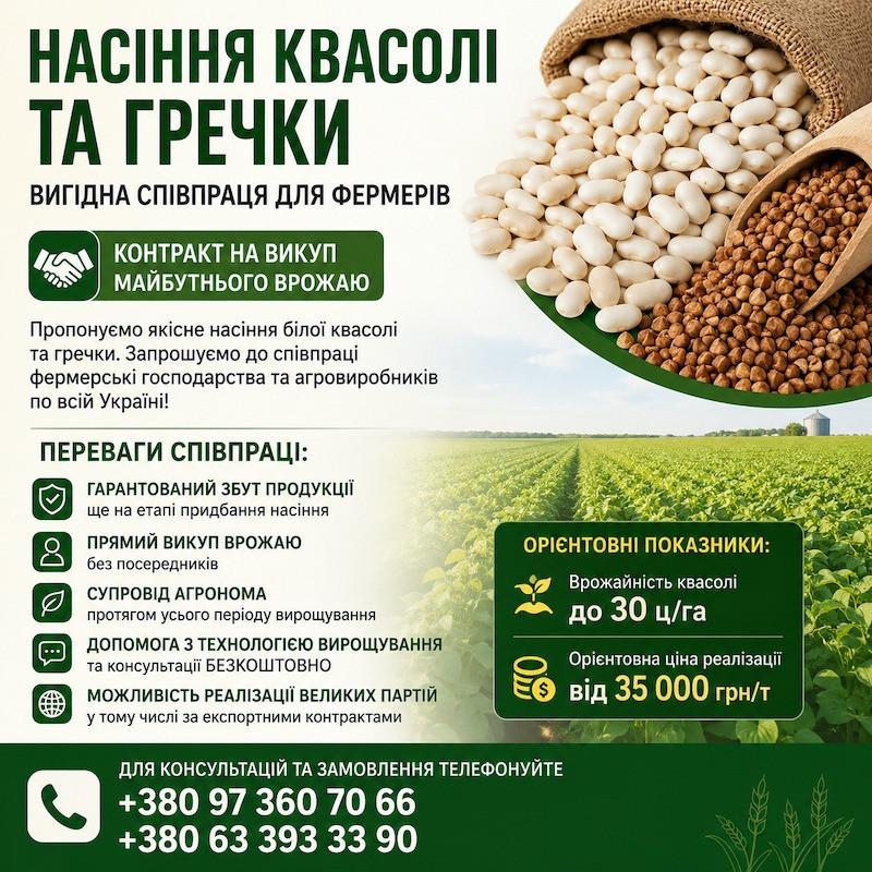Насіння квасолі та гречки — вигідна співпраця для фермерів Хмельницький - зображення 1