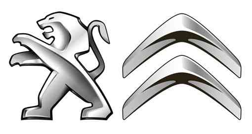 Запчасти Разборка Peugeot 206, 307, 406, 407, 508, 605, 806, Expert, Partner, Citroen Berlingo Киев