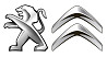 Запчасти Разборка Peugeot 206, 307, 406, 407, 508, 605, 806, Expert, Partner, Citroen Berlingo Киев