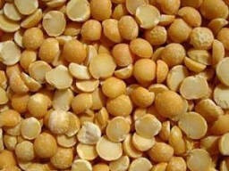 Купую половинки сої, відходи кукурудзи Кропивницкий - изображение 1