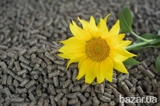 Брикети, пелети з чистого лушпиння соняшника Киев - изображение 1