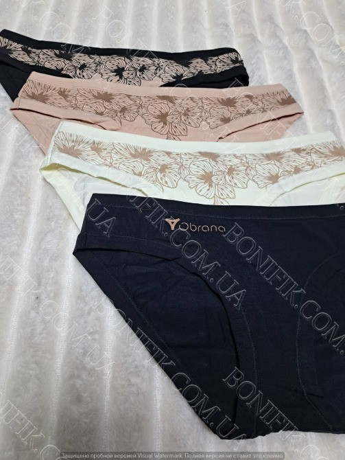 Женские трусы-слип с рисунком ТМ "Obrana" (арт. 200-30/2) Кривий Ріг - зображення 4