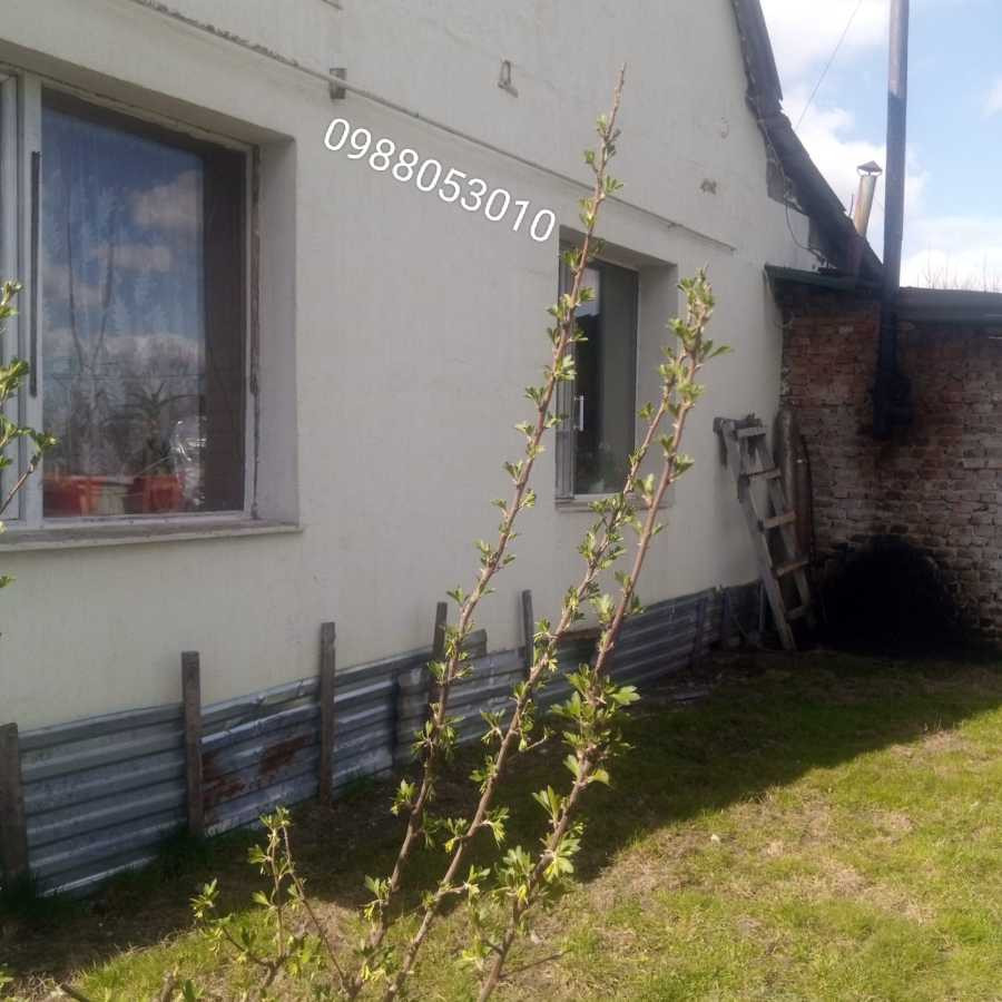 продажа 4-к дом Радеховский, Ястребичи, 49990 евро  - зображення 8