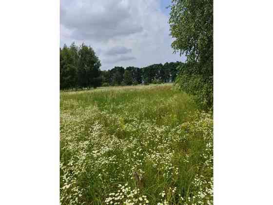 продажа земля сельскохозяйственного назначения Бородянский, Лубянка, 9370015 грн. 