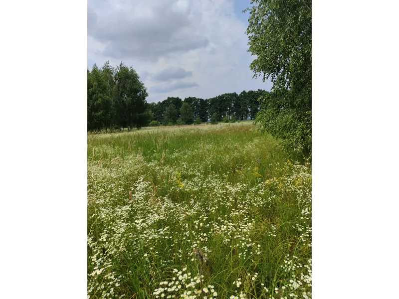 продажа земля сельскохозяйственного назначения Бородянский, Лубянка, 9370015 грн.  - зображення 1