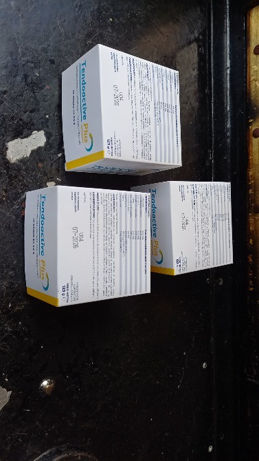 Диетическая добавка-БАДы Tendoactive Plus 20 стиков Bruno Farmaceutici Запорожье - изображение 2
