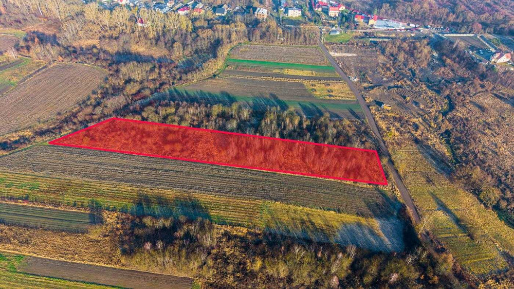 продажа земля сельскохозяйственного назначения Яворовский, Домажир, 105000 $  - зображення 6