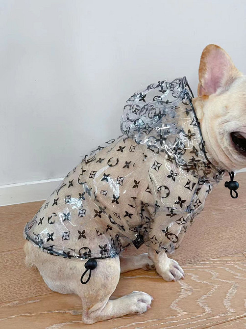 Куртка-дощовик для собак 11492 S Киев - изображение 1