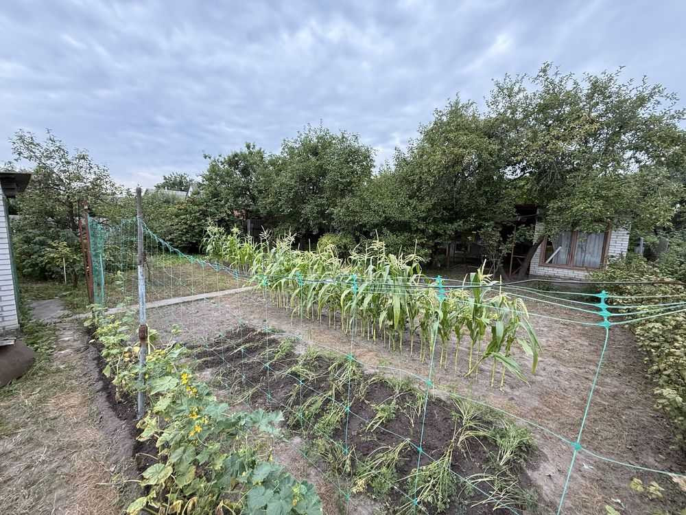 продажа 3-к дом Броварский, Княжичи, 28000 $  - изображение 10