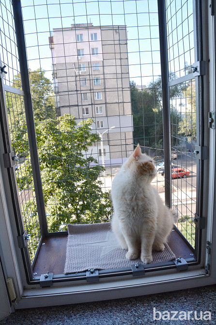Балкон для выгула кошек, по почте. "Броневик" Днепр. Днепр - изображение 10