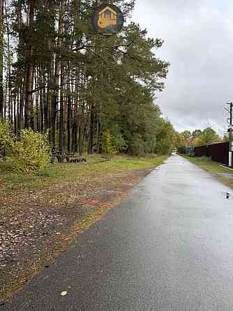 продажа земля сельскохозяйственного назначения Вышгородский, Ровы, 28000 $ 