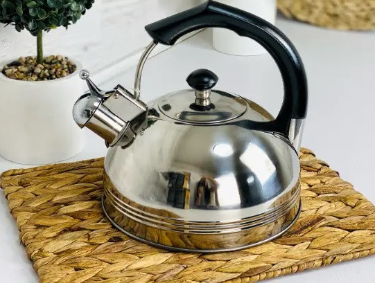 Чайник із свистком Edenberg EB-3555-Black 2.5 л чорний Київ - зображення 1