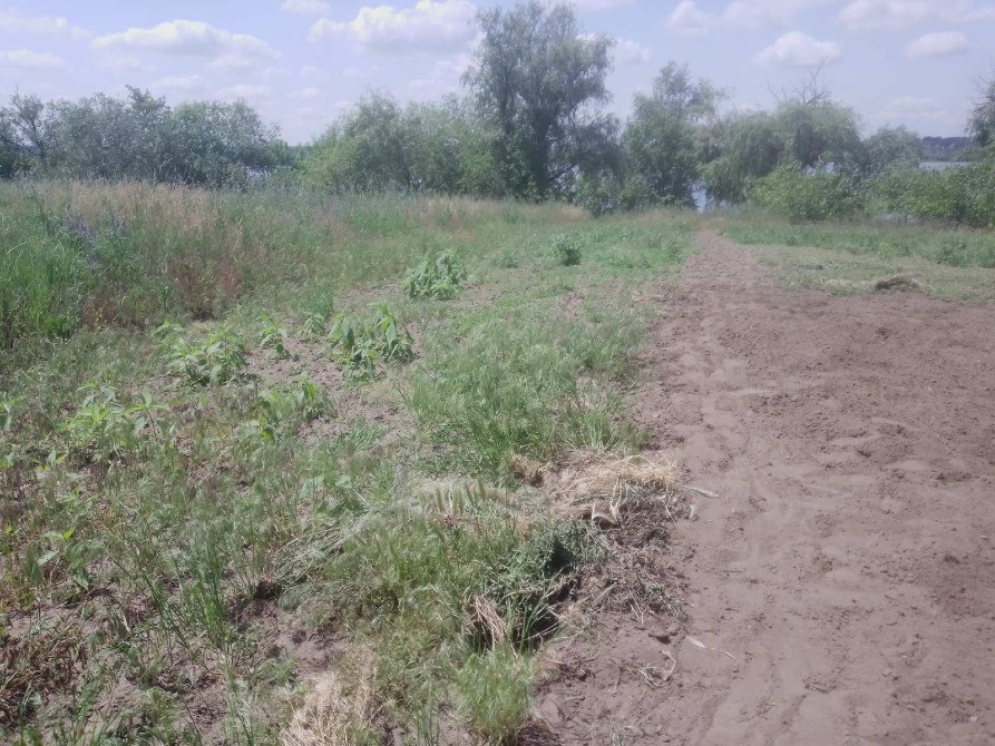 Продам будинок на березі Дніпра власний берег річки 25 соток землі Дніпро - зображення 5