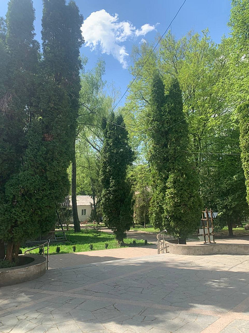 Санаторій "Березовий гай" - радоновий курорт для відновлення організму Хмельник - изображение 3