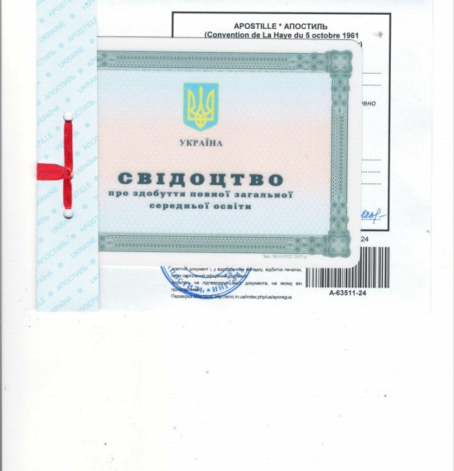 Перекладу, апостиль, витяг про несудимість, витребування документів Миколаїв - зображення 2