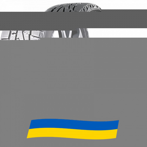 225/45 R17 Premiorri ViaMaggiore Z Plus 94H Легкова шина Київ - зображення 1