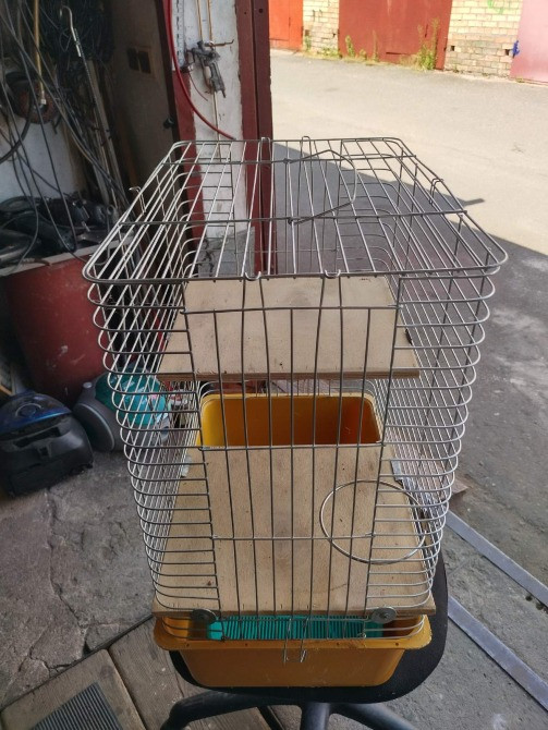 Продам велику клітку для тваринок Київ - зображення 6