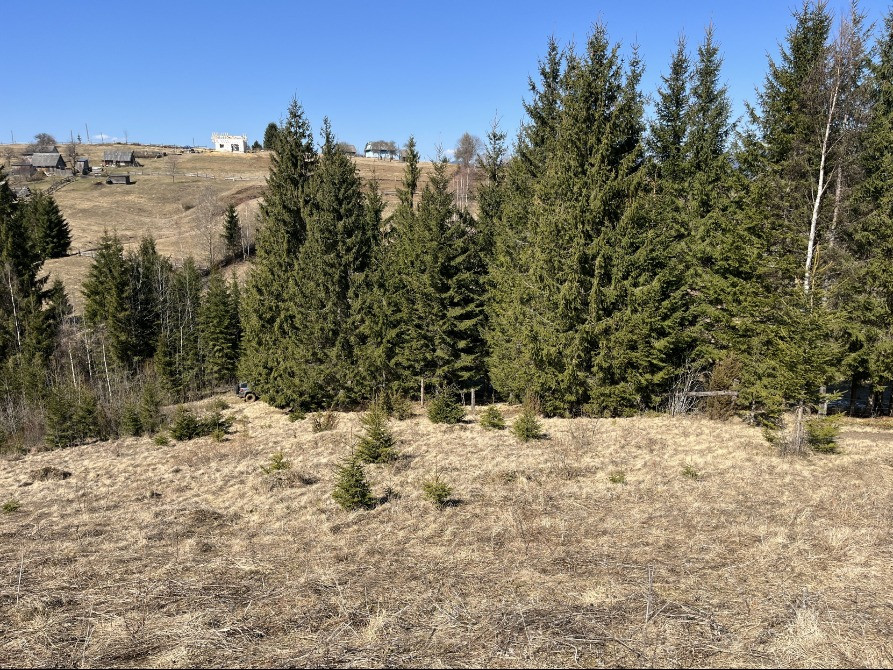 Земельна ділянка в Яблуниці 0.25 га Яремче - зображення 7