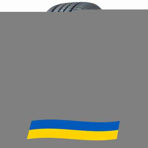 235/65 R17 Habilead RS21 PracticalMax H/T 108H Позашляхова шина Киев