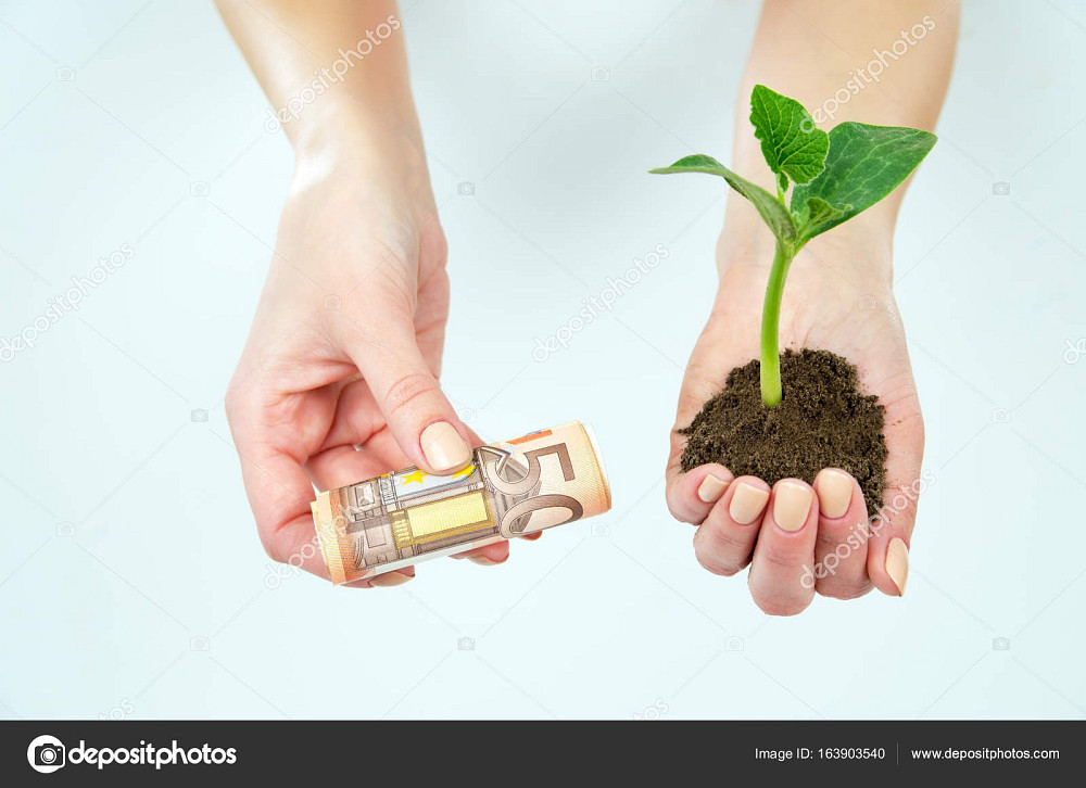 Кредит під заставу квартири, будинку під 1,5% на місяць. Київ - зображення 3