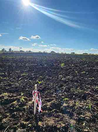 продажа участок под жилую застройку Пустомытовский, Гай, 10000 $ 