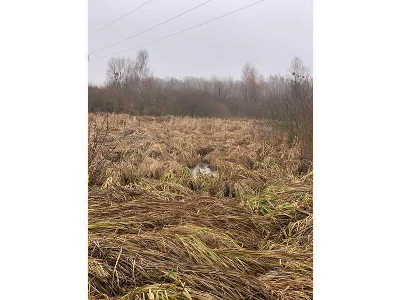 продажа земля сельскохозяйственного назначения Бориспольский, Головуров, 220362 грн.  - зображення 1