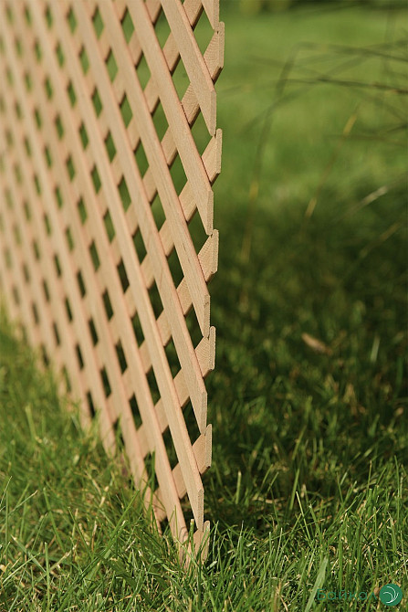 ДЕРЕВЯННЫЕ РЕШЕТКИ декоративные: Дуб, Ясень, Ольха (1,2 х 0,62 м) Київ - зображення 4