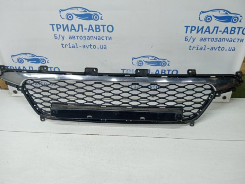 Решетка бампера центральная SsangYong Korando C200 2.0 DIESEL D20DT 2010 (б/у) Киев - изображение 1