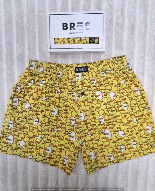 Мужские семейные трусы с принтом «Уточки» ТМ "BRES" (арт. MBXK 307/01/118) Кривий Ріг - зображення 1