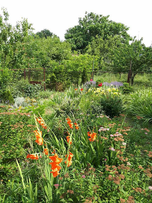 душевный дом в лесках Одеса - зображення 2