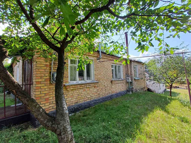 продажа 3-к дом Васильковский, Погребы, 39000 $  - изображение 2