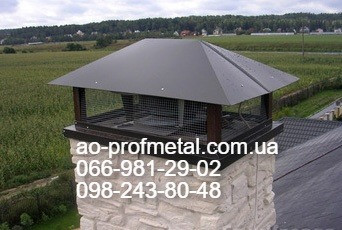 Флюгарка коричневого цвета. Київ - зображення 4