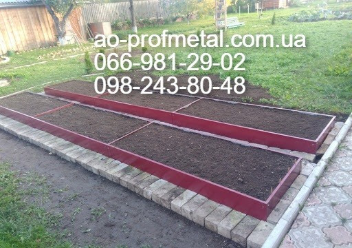 Современные грядки. Київ - зображення 1