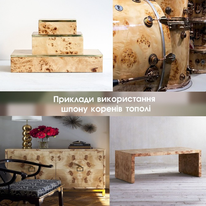 Шпон ТОПОЛЬ очковий товщина: 0,7 мм / Кап (*карельська береза) Киев - изображение 7