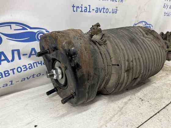 Амортизатор задний Lexus RX 350 2003-2009  (Арт. 79430) Киев