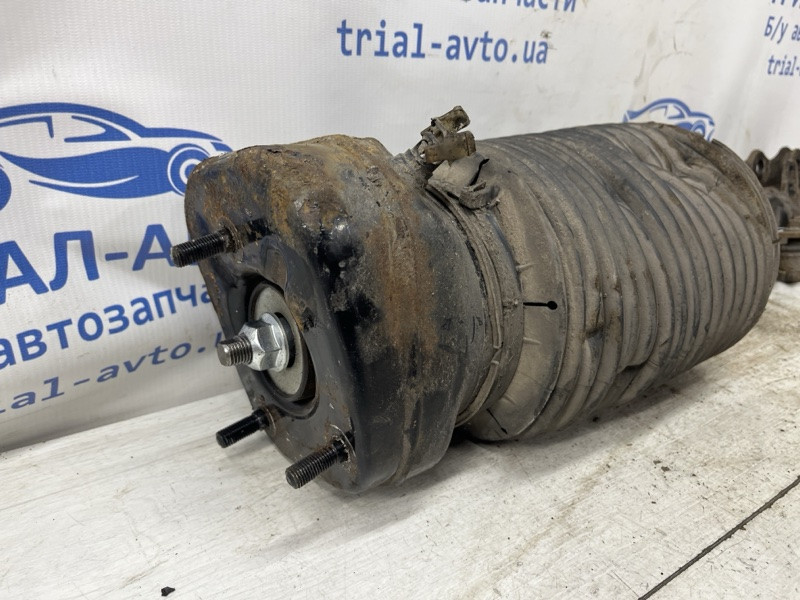 Амортизатор задний Lexus RX 350 2003-2009 4853049335 (Арт. 79430) Киев - изображение 3