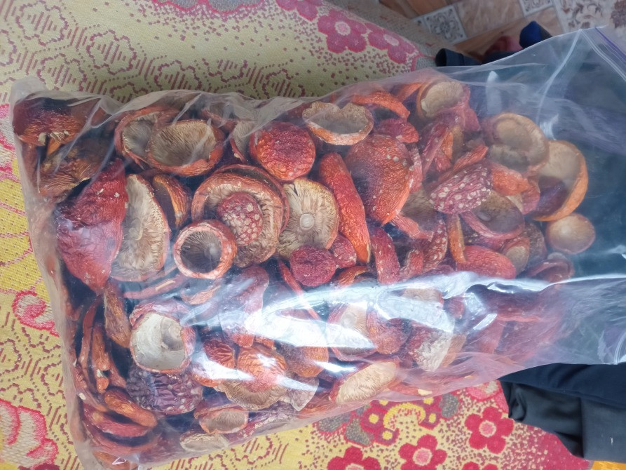 Червоний мухомор 1 сорту, закриті шляпки Овруч - изображение 2