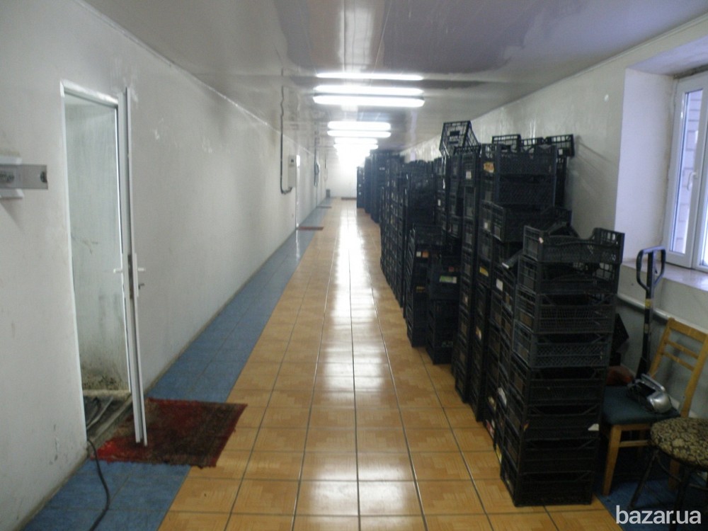 Продажа Грибоводство (Одесская обл., Украина) Одесса - изображение 6