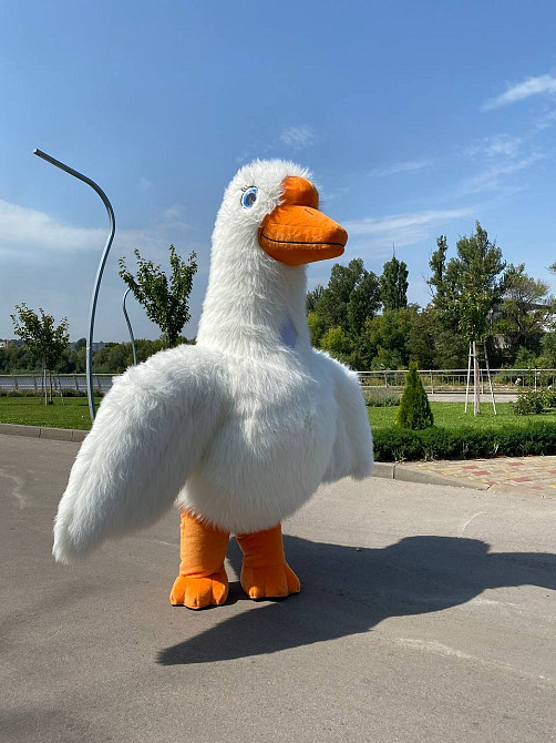 Замовляйте яскраве і барвисте привітання від Білого Ведмедя для вашого свята! Киев - изображение 5