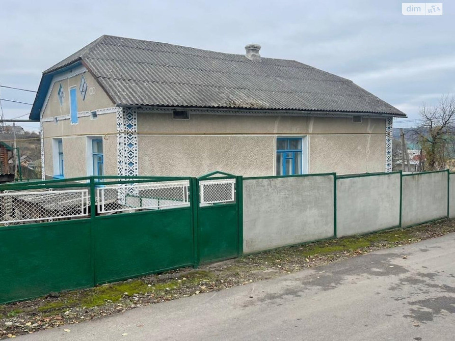 Приватний будинок в селищі Сатанів Хмельницької області Хмельницький - зображення 1