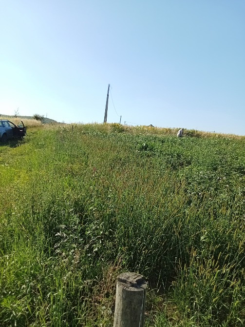 с. Гряда продаж земельної ділянки під забудову Львів - зображення 4