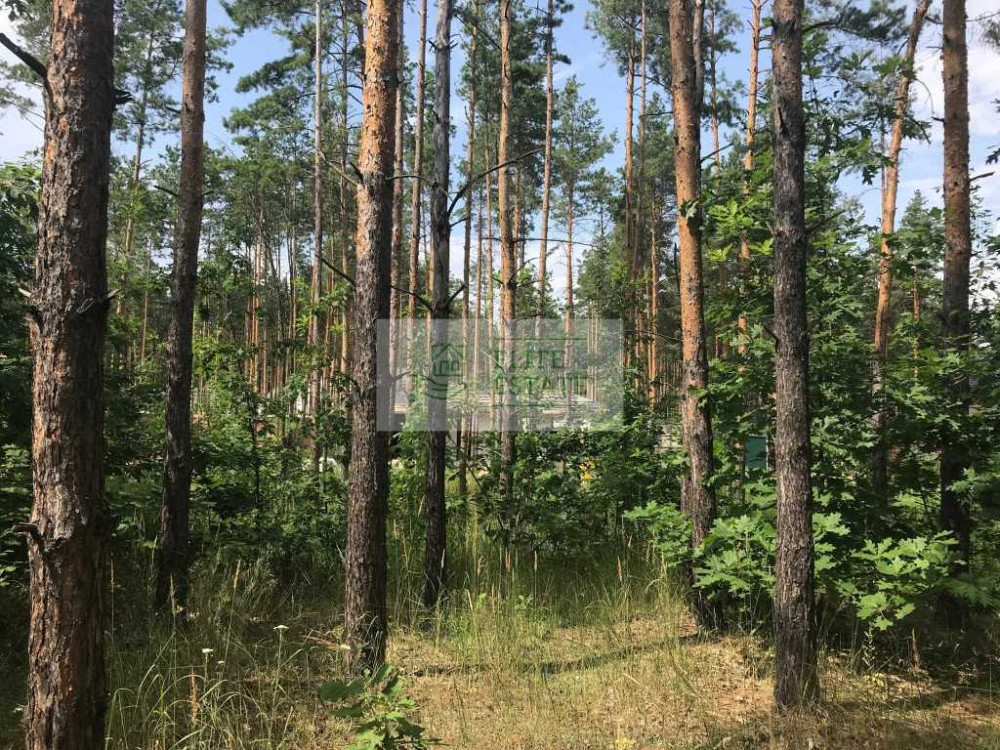 продажа земля сельскохозяйственного назначения Вышгородский, Лебедевка, 220000 $  - зображення 5