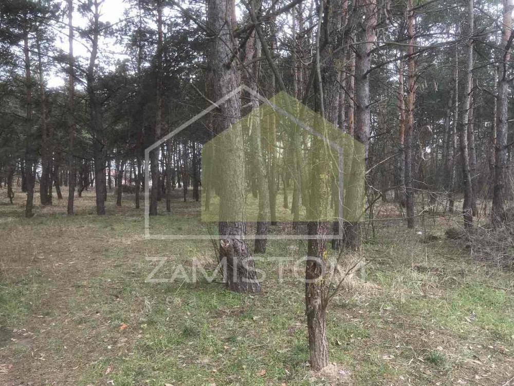 Продаж будинку 92 м2 на ділянці 25 соток в селі Гнідин біля соснового лісу. 200 метрів до зупинки гр Киев - изображение 7