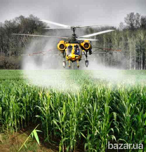Инсектицидная обработка кукурузы вертолетом Черкаси - зображення 1